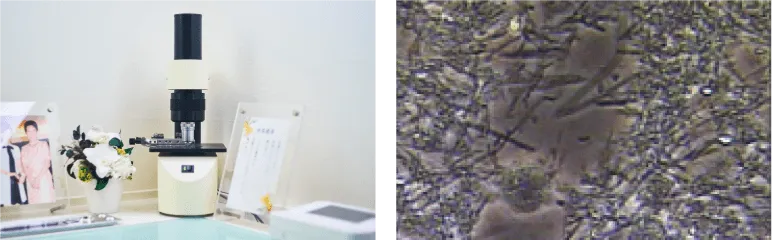 位相差顕微鏡
