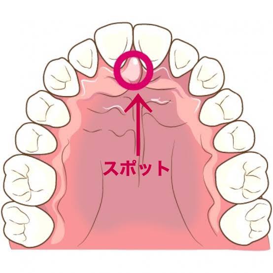 舌のスポットについて👅2023.4.20